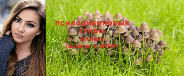 гидропоника Бугульма