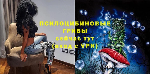 скорость Бородино
