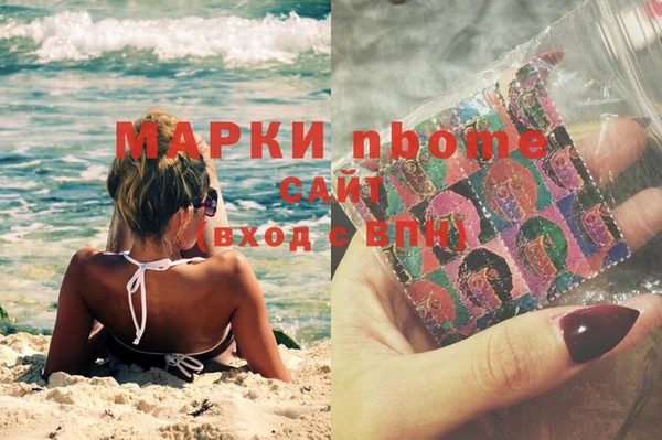 сатива Бронницы