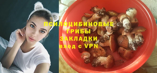 гидропоника Бугульма