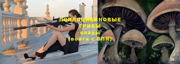 гидропоника Бугульма