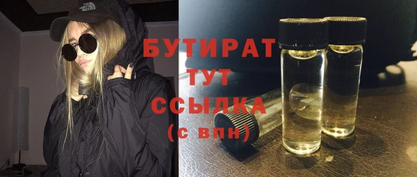 сатива Бронницы