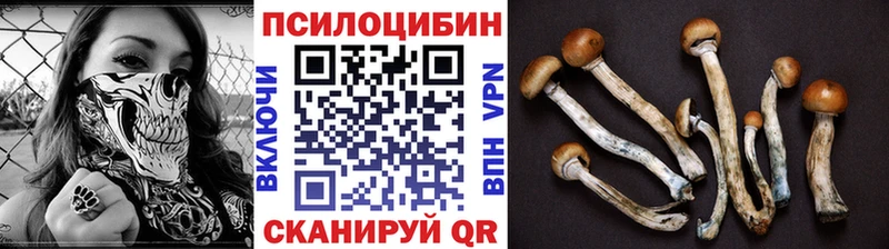 Галлюциногенные грибы Psilocybe  Купить  Ростов 